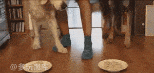 【搞笑gif图】老师你听说我,我真有在认真复习,无奈管