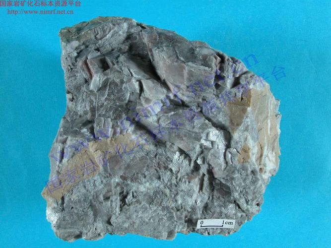 碳酸盐胶结钠长角砾岩_carbonate cemented albite _.