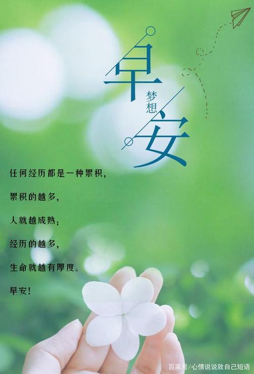 每天早安心语正能量图片,早安励志语录正能量,句句充满活力!