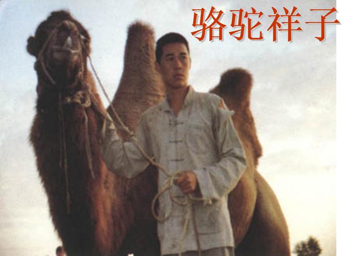 25名著阅读 骆驼祥子 (共19张)