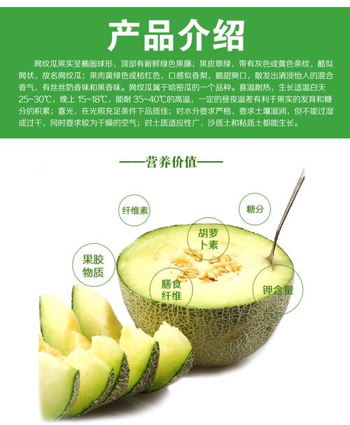 热卖山东海阳玲珑网纹蜜瓜哈密瓜网纹瓜绿肉糯甜新鲜水果3.