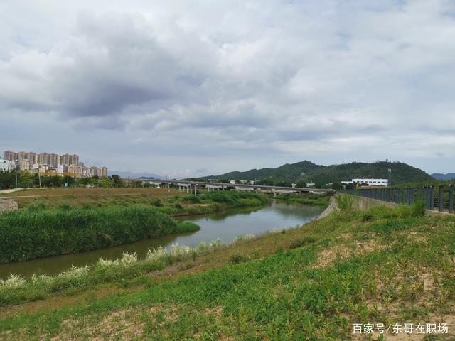 深圳坪山湿地公园,深圳技术大学片区,感受不一样的深圳一角