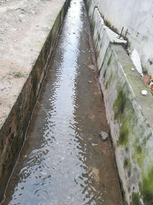 黑秋秋的臭水沟变得清澈了