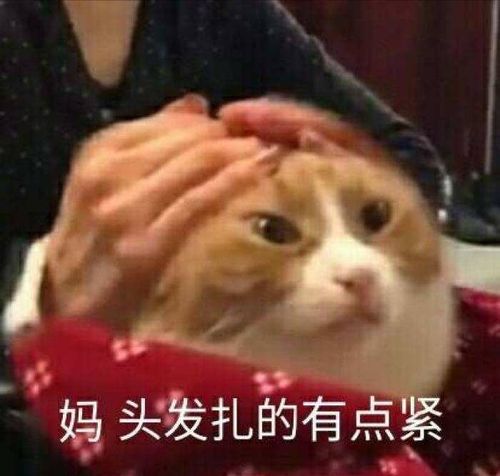 这里让我想起一个表情包