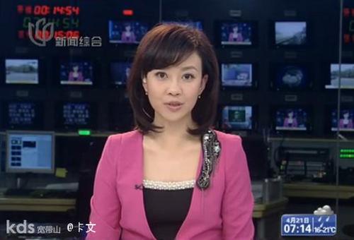这个主持人看上去也不错
