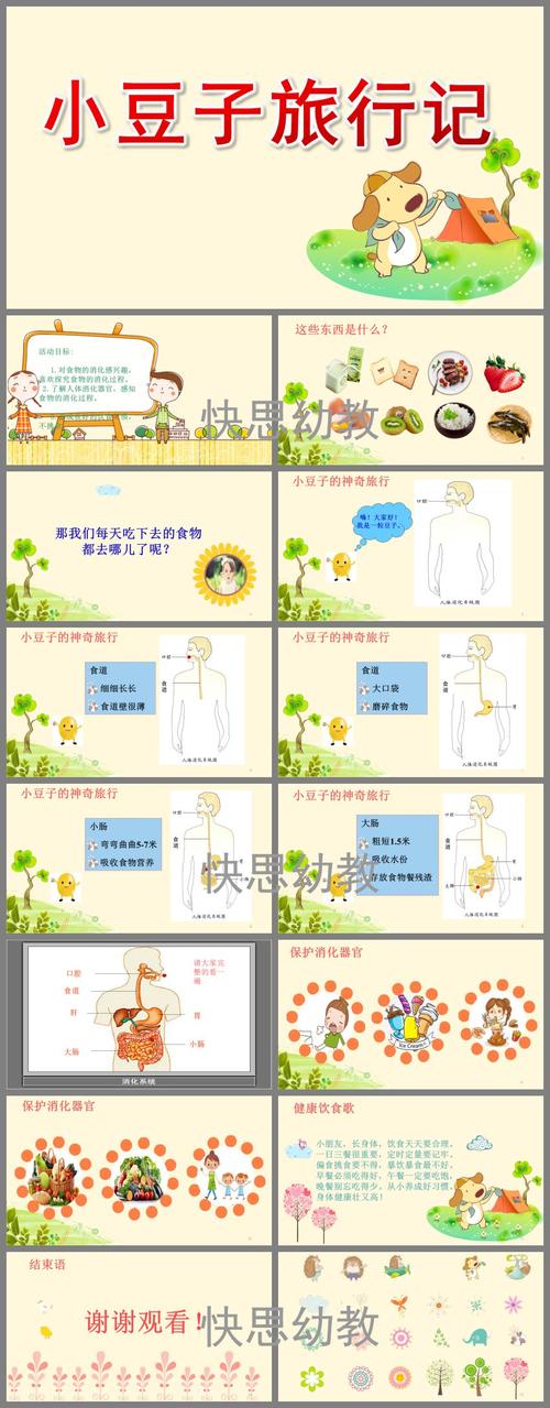 大班社会《小豆子旅行记》ppt课件教案