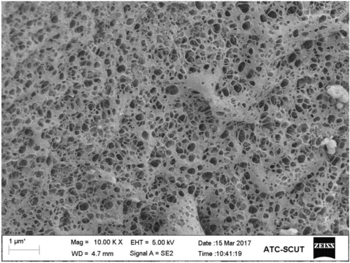 一种生物质基氮自掺杂多孔炭材料及其制备方法和应用技术