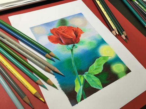 彩铅装饰画《红玫瑰》
