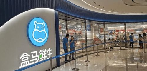 刚刚盒马郑州首店开业现场火爆计划在郑州开20家店