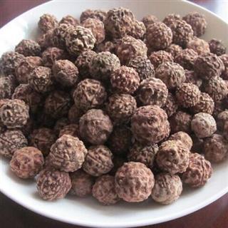 金刚 金刚果 金刚菩提子 产地 海外印尼