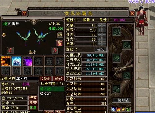 天龙八部45级带什么宠物好?