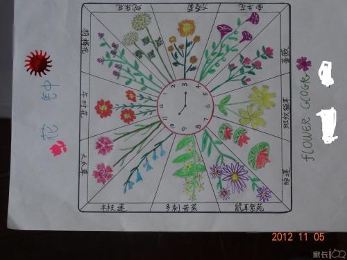 三年级花钟画画怎么画