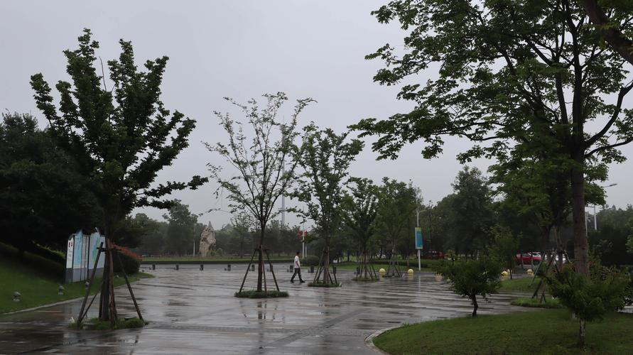 湖州湿地公园在当地属于比较大的,游客很少,或许是雨季的关系.