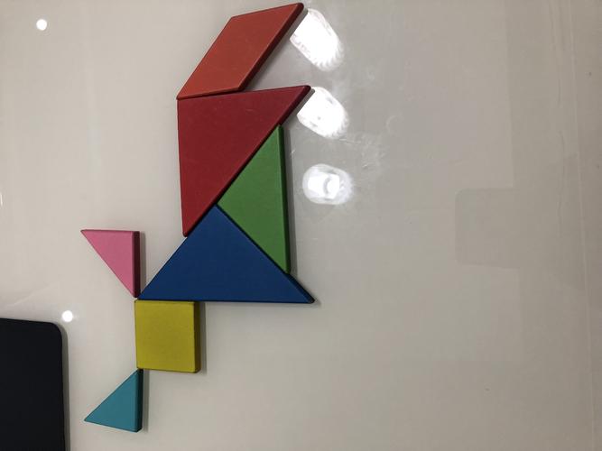 我是城南实验小学二(八)班施震皓,这是我的七巧板之十二生肖
