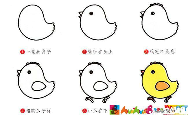 小鸡宝宝简笔画步骤,我是一只可爱的鸡宝宝彩