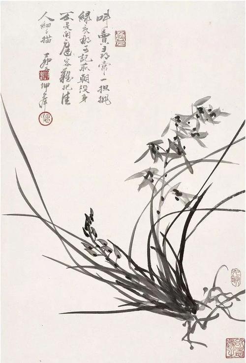 书画联盟丨百年画兰,如何画好兰花?|潘天寿|黄胄|兰叶