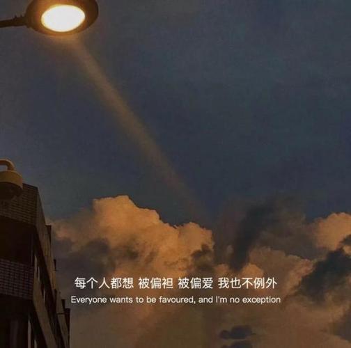 每个人都想  被偏袒 被偏爱  我也不例外