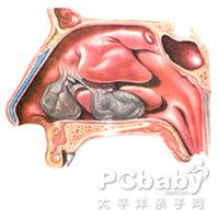 鼻内似有擤不出的鼻涕