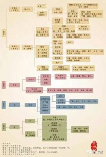终极难题:请画出《红楼梦》中所述的完整人物关系图.