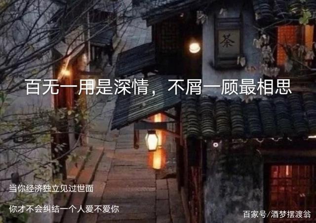 百无一用是深情