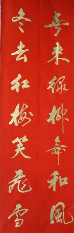 汉武书院院长,著名书法家,张天佑先生春联作品欣赏