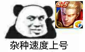 速度_速度表情包大全_斗图大全