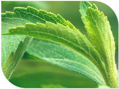 stevia extract ( sprite reformulated with stevia)