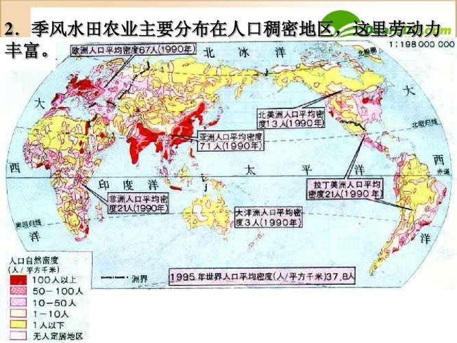 高中地理 以种植业为主的农业地域类型课件 新人教版必修2ppt