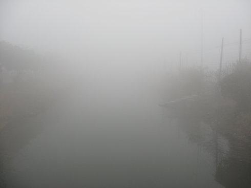 清晨大雾