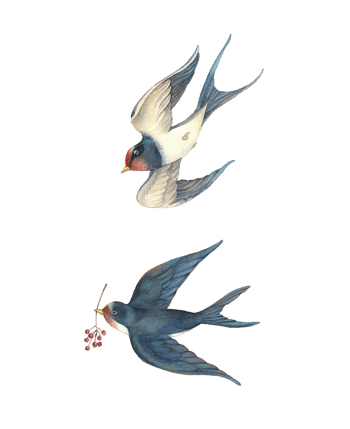 水彩喜鹊飞翔水墨画