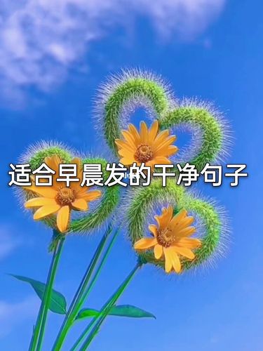 适合早晨发朋友圈的句子_朋友圈_高坪攻略_文字控_素材_文字素材