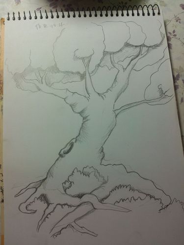 第二十一课 大树