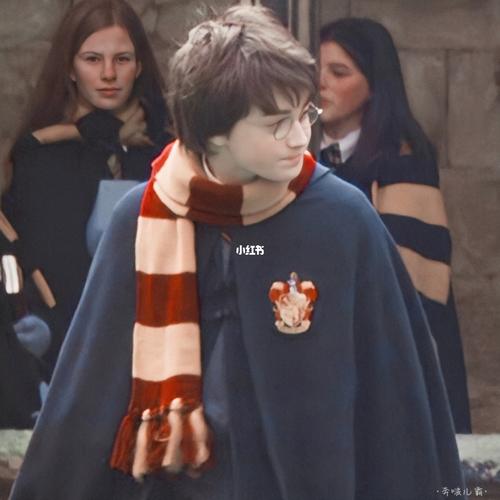哈利波特|harry potter 95 新年快乐_新年去哪玩_哈利波特_影视