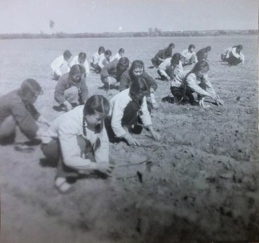 70年代老照片:让人怀念的生产队时期,每一张照片都充满了历史感