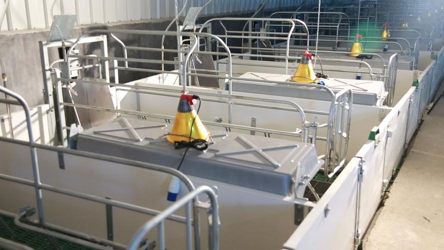 自动化养猪设备