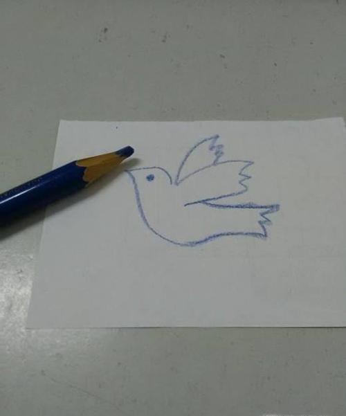 用蓝笔从鸽子的脑后开始画起,就是笔指的地方,向左画一条弧线,画出