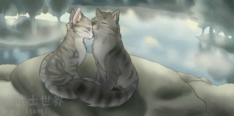 猫武士异族情侣--- 灰条,银溪