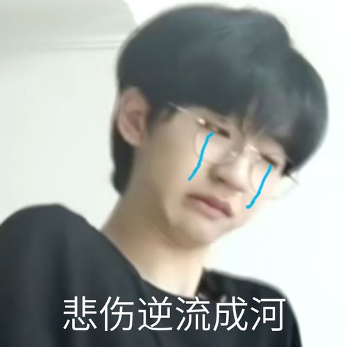 贺峻霖