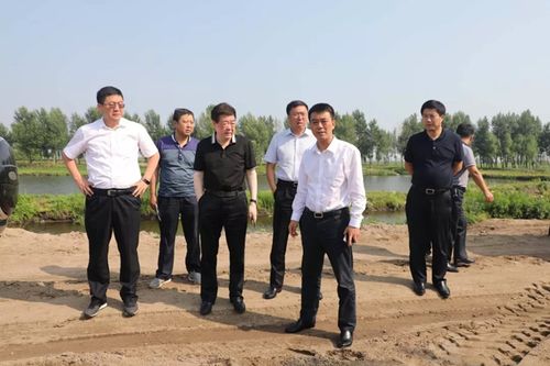 我市加大力度落实中央环保督察整改任务打击非法采砂