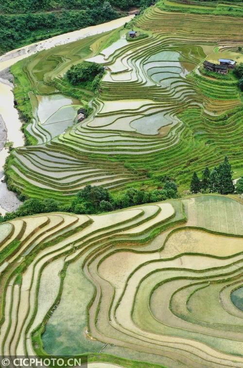 贵州从江梯田如画