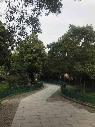 海曙公园-"漫天的樱花哪里看,那一定是海曙公园呀.宁.