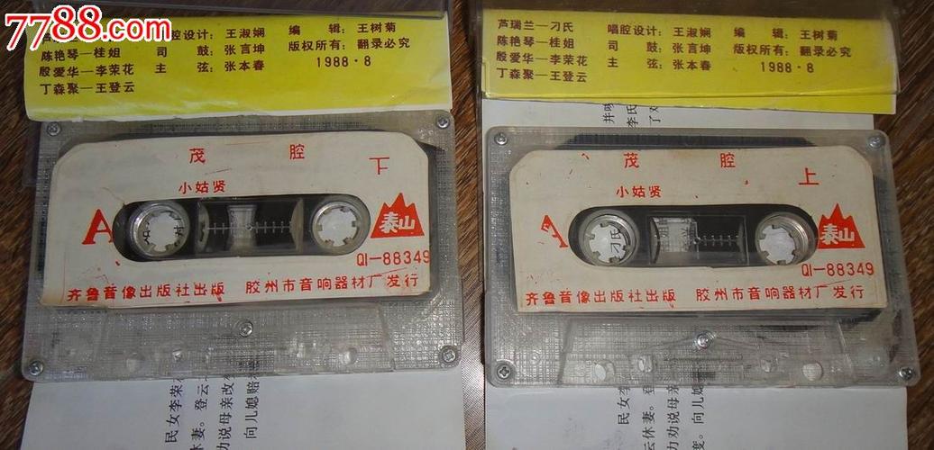 少见地方版式!茂腔【小姑贤】上.下集