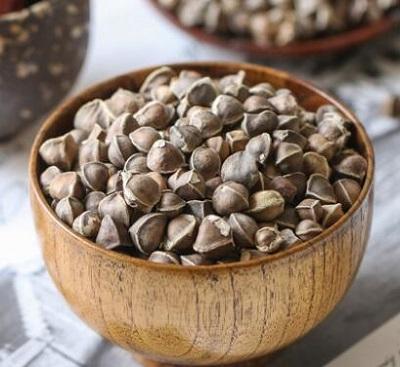 辣木籽的功效与作用有哪些详解辣木籽的5大功效