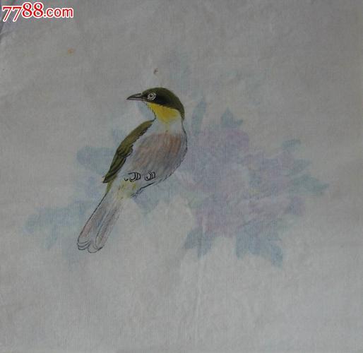 【水彩画-原画稿】画眉