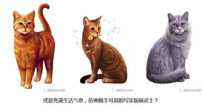 猫武 士丨"我心目中的猫武士"27个新形象征集