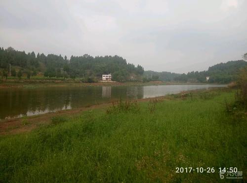 10月26日乐至现场江家桥水库
