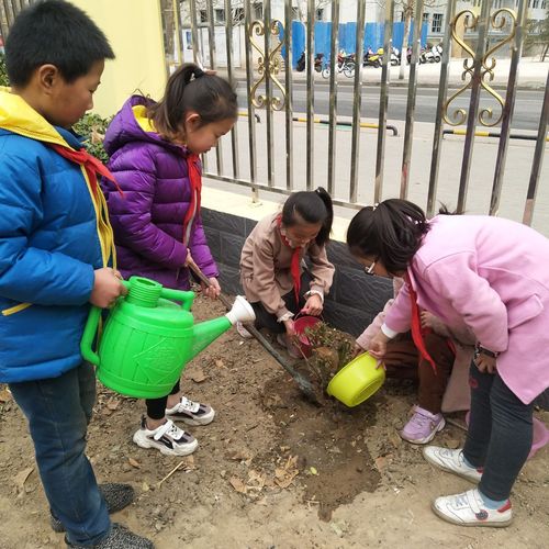 "爱心浇灌,让我们的校园生机盎然"一一开发区实验小学植树节活动