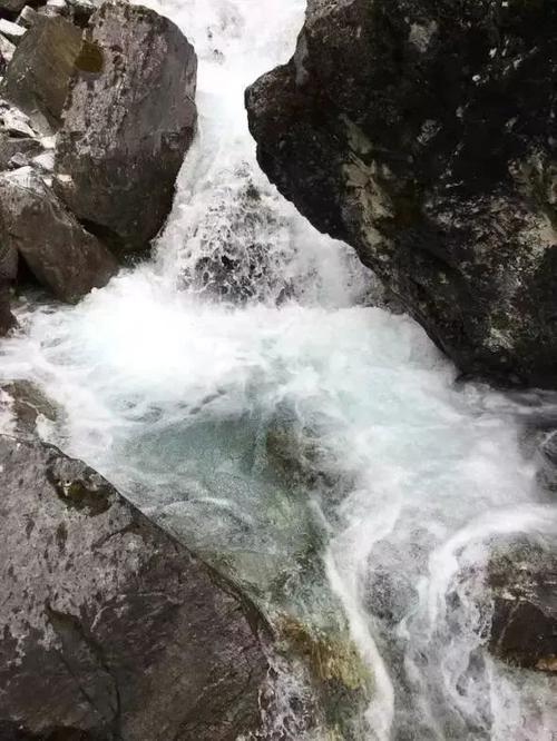 干净清凉的雪水汩汩而下,映衬着亚丁的纯净.