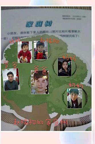 北营幼儿园小二班手工《家庭树》