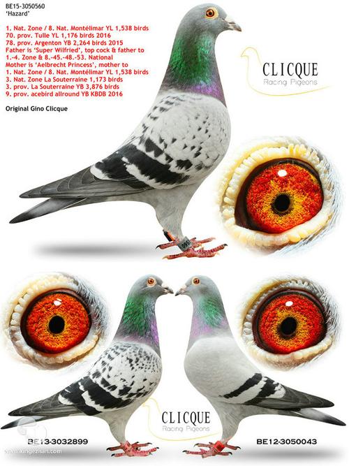 吉诺克里克世界铭鸽超级王子